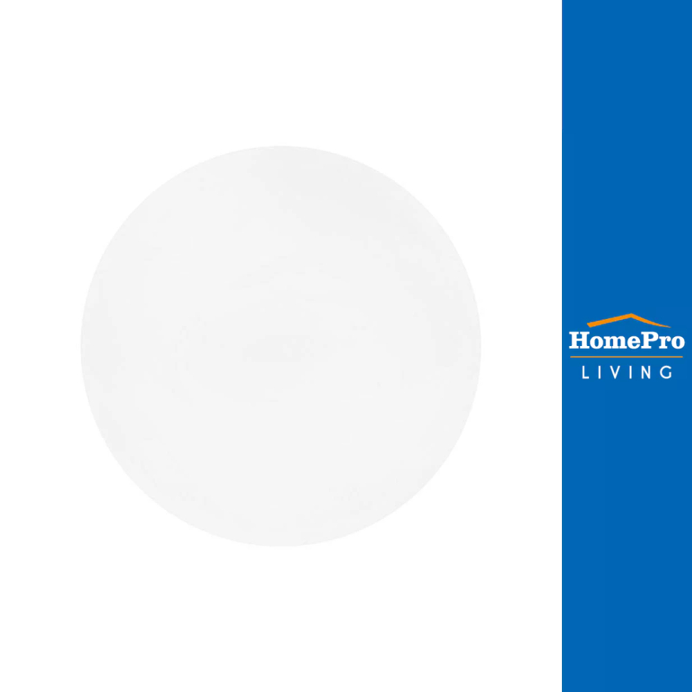 HomePro ไฟเพดาน LED CARINI ZY901-S 24 วัตต์ DAYLIGHT 13 นิ้ว สีขาว แบรนด์ CARINI