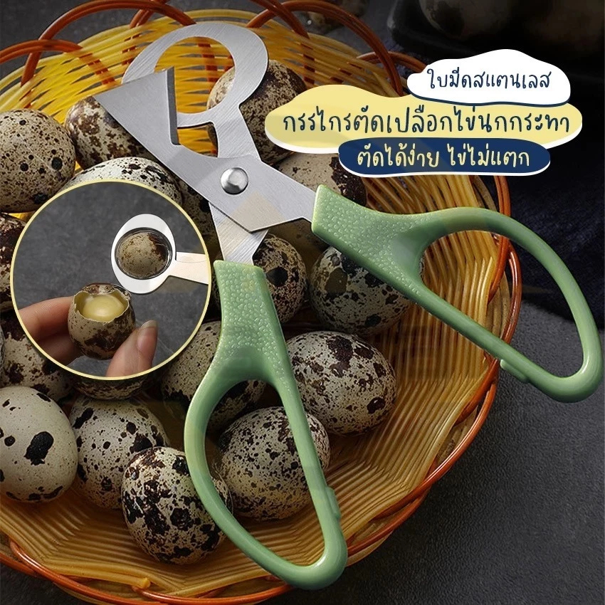 😍COD😍กรรไกรตัดไข่นกกระทา กรรไกรตัดไข่สแตนเลส เครื่องมือเปิดไข่และไข่นก