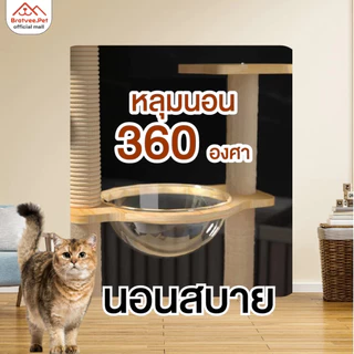 [พร้อมส่ง] Bratvee คอนโดแมว คอนโดไม้ มีหลุมใส เสาลับเล็บ เฟอร์นิเจอร์สัตว์เลี้ยง สูงถึง 200 cm