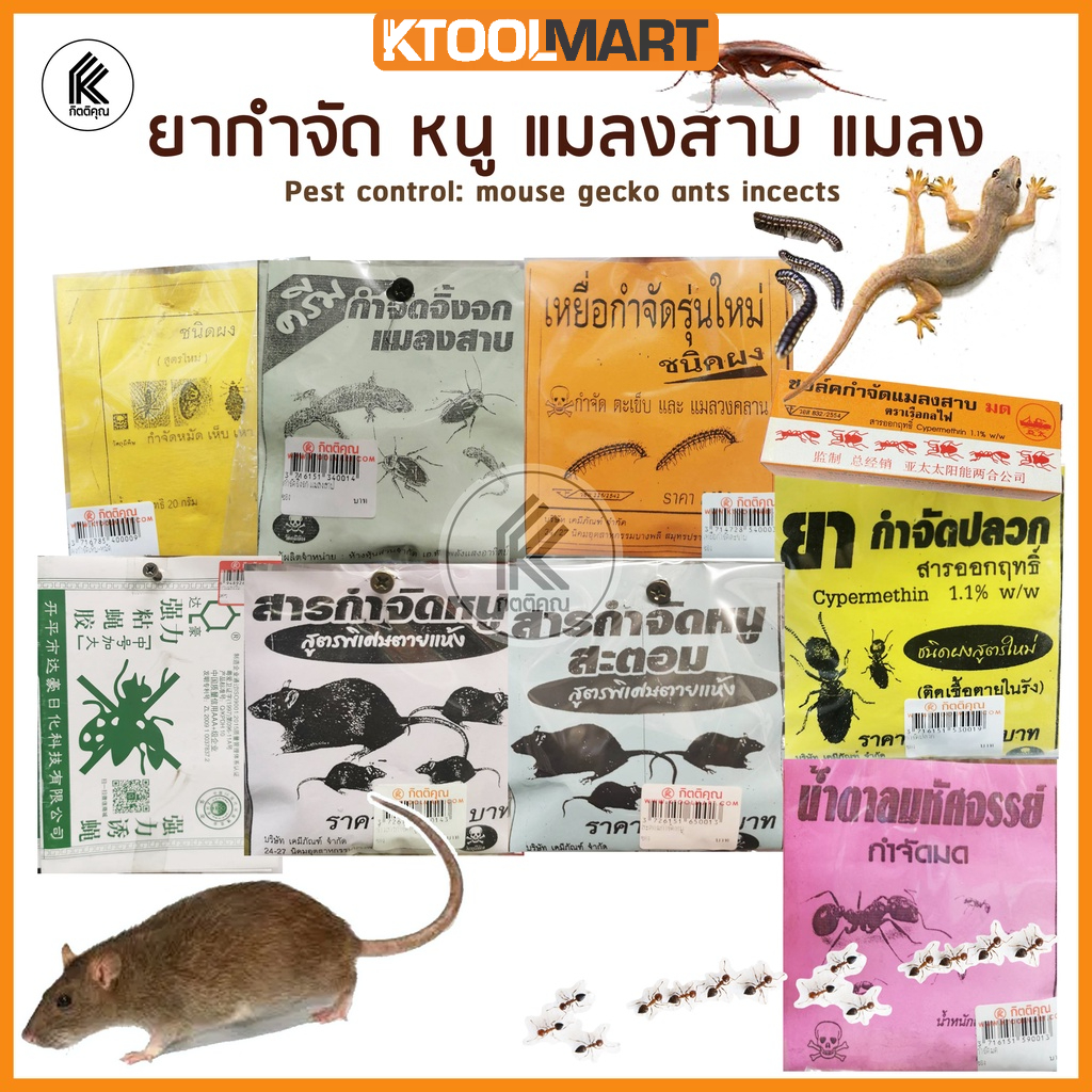 ยากำจัด หนู มด แมลงสาบ จิ้งจก แมงวัน ปลวก ตะขาบ ตะเข็บ แมลงคลาน เห็บ เหา PEST control chem rats cockroaches gecko ants