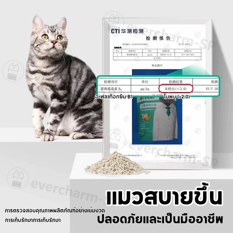 ทรายแมวเต้าหู้ ออร์แกนิค100% ทรายแมวเต้าหู้ ผลิตจากกากถั่วเหลืองธรรมชาติ ทรายแมว Cat Litter 6L ทรายแมว tofu ทรายแมว - รูปที่ 5
