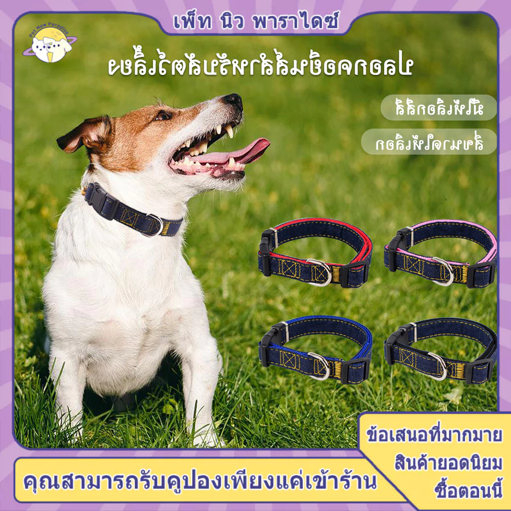 ปลอกคอสุนัข ปอกคอสุนัข ปลอกคอหมา คอลล่าสุนัข ปอกคอหมา XL ปลอกคอสุนัขโต มีให้เลือกสี่สี