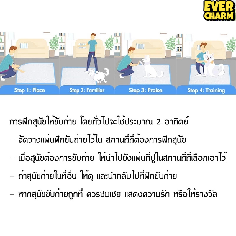 แผ่นรองฉี่ แผ่นรองฉี่แมว แผ่นรองฉี่สุนัข ช่วยฝึกขับถ่าย ระงับกลิ่น ซึมซับไดีดี ยิ่งขึ้น ต่อต้านแบคทีเรีย ผ้ารองฉี่สุนัข - รูปที่ 5