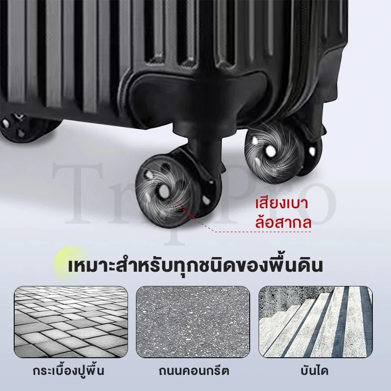 รูปภาพ 5