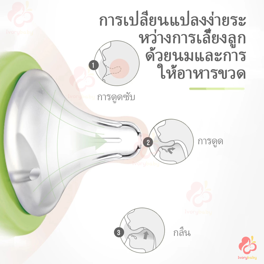 รูปภาพ 3