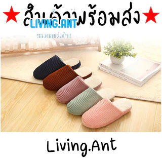 👑 LivingAnt 👑 รองเท้าใส่ในบ้าน รองเท้าสลิปเปอร์ ในบ้าน สีพื้น แต่งผ้าร่อง ลายทาง