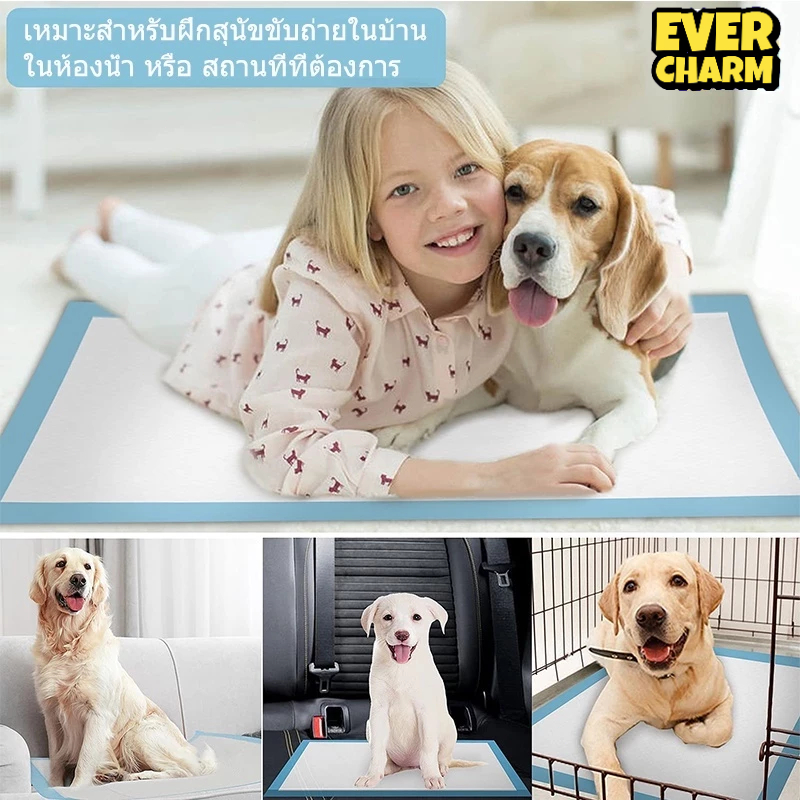แผ่นรองฉี่ แผ่นรองฉี่แมว แผ่นรองฉี่สุนัข ช่วยฝึกขับถ่าย ระงับกลิ่น ซึมซับไดีดี ยิ่งขึ้น ต่อต้านแบคทีเรีย ผ้ารองฉี่สุนัข - รูปที่ 6