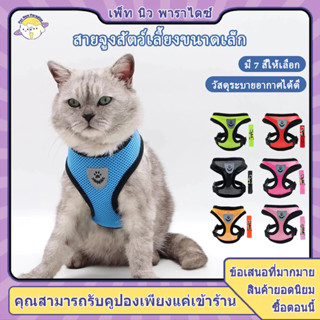 สายจูงแมว สายจูงสุนัข เชือกจูงแมว สายจูงหมา สายจุงแมว ที่จูง…