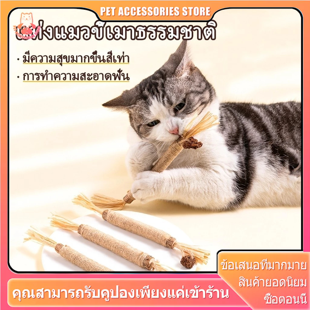 ไม้แมวเมา อันใหญ่ ของเล่นแมว ไม้มาทาทาบิ ขัดฟันแมว ของเล่นเเมว มาทาทาบิ มาทาบิ ลดคราบหินปูน