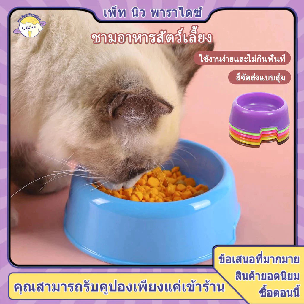 ชามอาหารแมว ชามข้าวแมว พลาสติกพีพีคุณภาพสูง สีส่งแบบสุ่ม