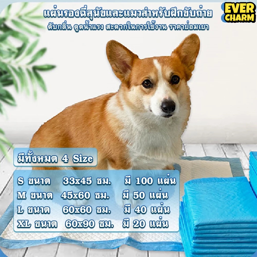แผ่นรองฉี่ แผ่นรองฉี่แมว แผ่นรองฉี่สุนัข ช่วยฝึกขับถ่าย ระงับกลิ่น ซึมซับไดีดี ยิ่งขึ้น ต่อต้านแบคทีเรีย ผ้ารองฉี่สุนัข - รูปที่ 3