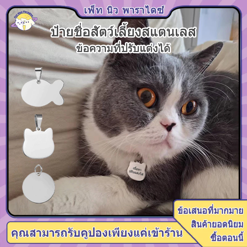 ป้ายชื่อแมว บัตรแมว จี้แมว ป้ายชื่อหมา ป้ายชื่อสัตว์เลี้ยง สลักชื่อแมว ทําป้ายชื่อ ป้ายคอแมว dog tag