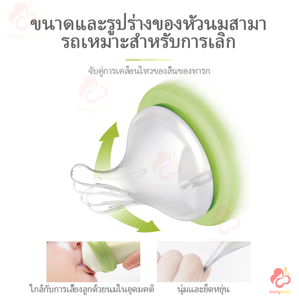 รูปภาพ 4