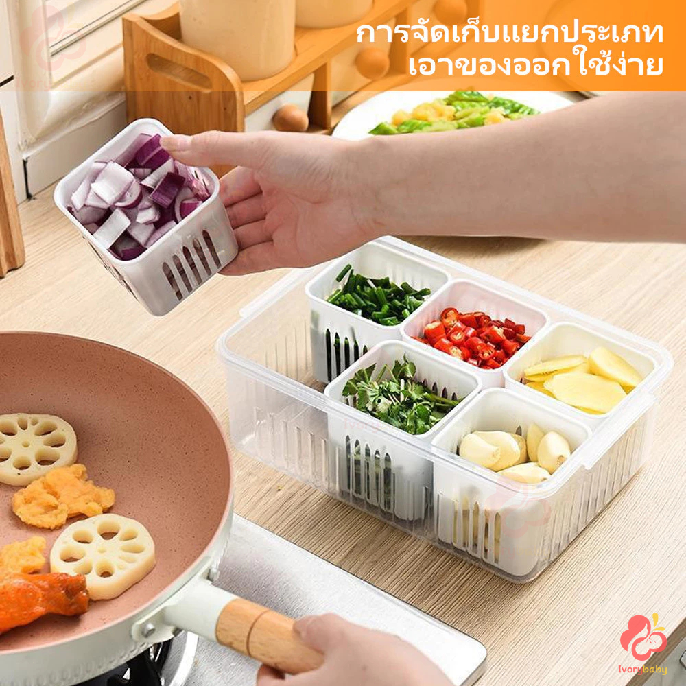 IVORYBABY กล่องเก็บอาหาร 4/6 ช่อง ที่เก็บผัก ปิดผนึก อุปกรณ์ครัว กล่องเก็บกระเทียมสด กล่องจัดเก็บในตู้เย็น