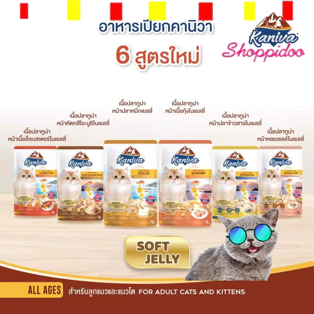 (12ซอง) Kaniva  อาหารเปียกแมว 15สูตร ชนิดซอง  70 กรัม ไม่เติมเกลือ   (คานิว่า อาหารแมวเปียก อาหารเปี