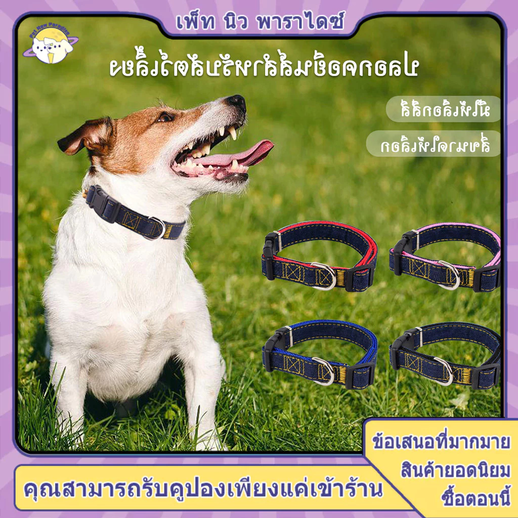 ปลอกคอสุนัข ปอกคอสุนัข ปลอกคอหมา คอลล่าสุนัข ปอกคอหมา XL ปลอกคอสุนัขโต มีให้เลือกสี่สี