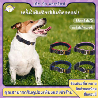 ปลอกคอสุนัข ปอกคอสุนัข ปลอกคอหมา คอลล่าสุนัข ปอกคอหมา XL ปลอกคอสุนัขโต มีให้เลือกสี่สี