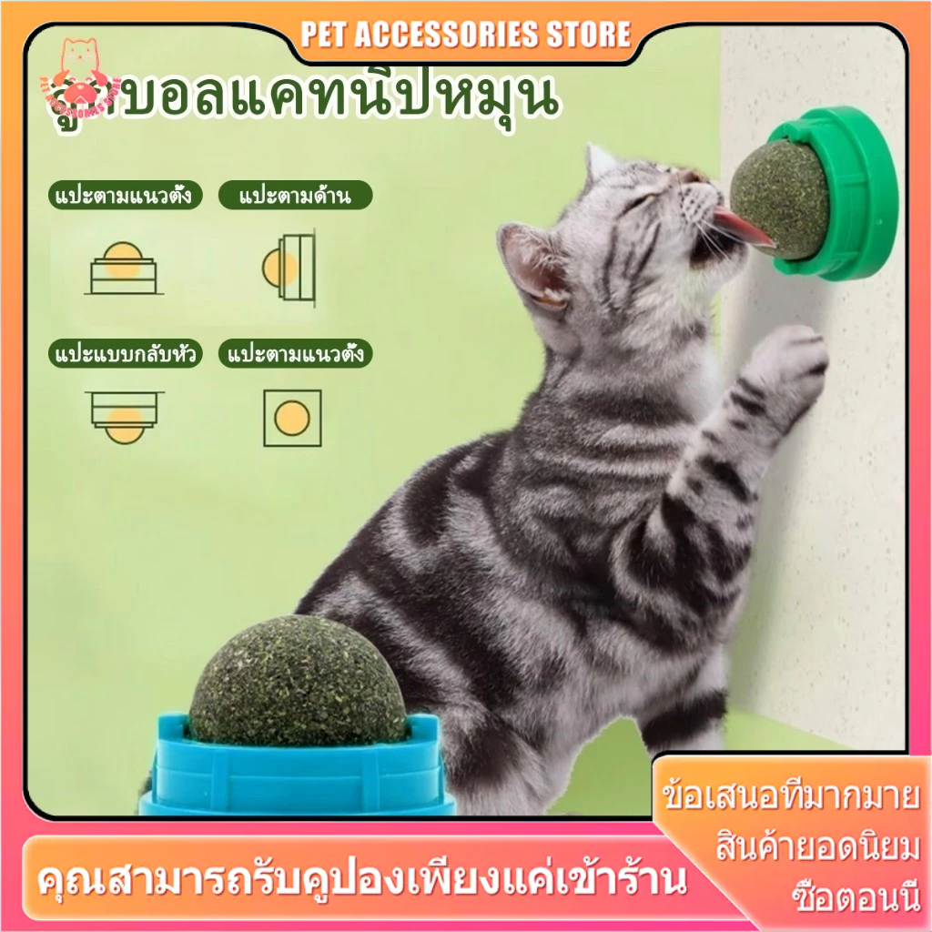 แคทนิปบอล กัญชาแมว หญ้าแมว แคทนิป กันชาแมว แคทนิป แมว กัญชาเเมว แคทนิปแมว catnip  แมว ติดกำแพง