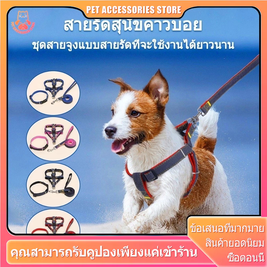 สายจูงสุนัข สายจูงหมา เชือกหมา สายจุงสุนัข สายจูง สายรัดอก รัดอกสุนัข เชือกจูง สุนัขพันธุ์เล็ก-ใหญ่