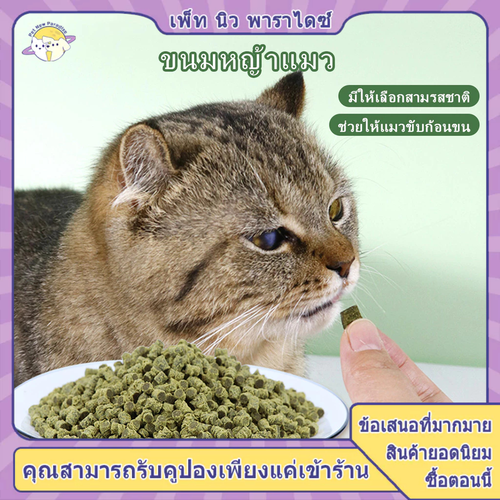 ขนมหญ้าแมว ขนมแมว ขนมเเมว หญ้าแมว เม็ดหญ้า ขนมลูกแมว มีหลายรสชาติ ไม่ต้องปลูกก็กินได้