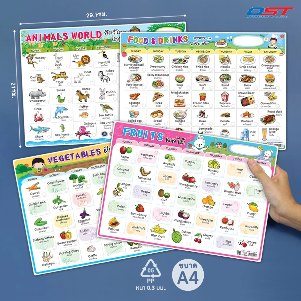 แผ่นความรู้พลาสติก ขนาด A4 (ชุด สัตว์, อาหาร, ผลไม้, ผัก) ปฏิทินคำศัพท์รอบตัวที่ใช้บ่อย หนา 0.3 มม.