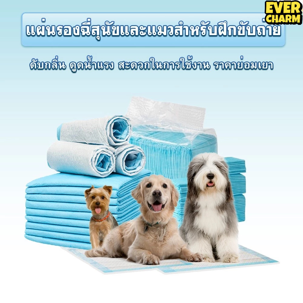 แผ่นรองฉี่ แผ่นรองฉี่แมว แผ่นรองฉี่สุนัข ช่วยฝึกขับถ่าย ระงับกลิ่น ซึมซับไดีดี ยิ่งขึ้น ต่อต้านแบคทีเรีย ผ้ารองฉี่สุนัข - รูปที่ 4