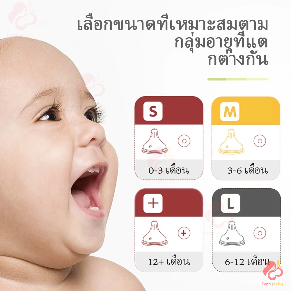 รูปภาพ 2