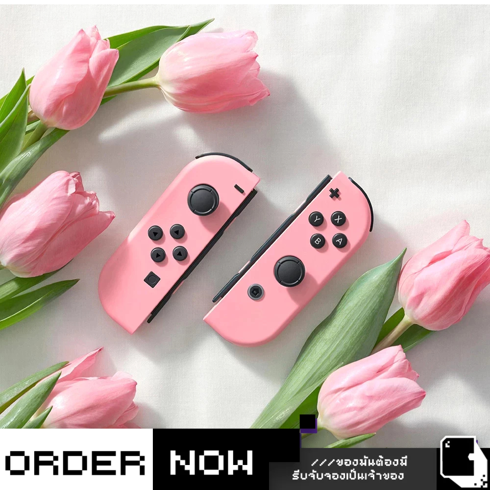 Nintendo Switch™ อุปกรณ์ Joy-con & Pro Controller (By ClaSsIC GaME)