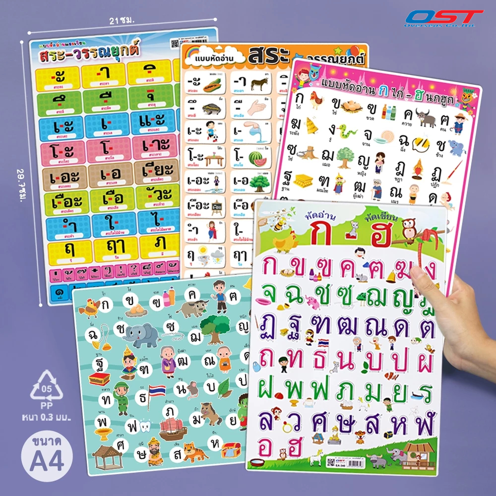 แผ่นความรู้พลาสติก ขนาด A4 (แบบหัดอ่าน ก ไก่-ฮ นกฮูก , แบบหัดอ่านสระ-วรรณยุกต์ไทย) หนา 0.3 มม.