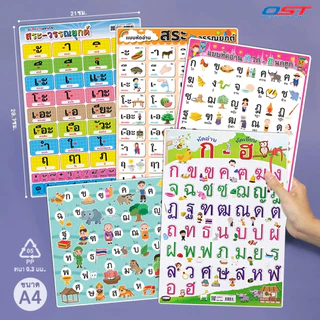 แผ่นความรู้พลาสติก ขนาด A4 (แบบหัดอ่าน ก ไก่-ฮ นกฮูก , แบบหัดอ่านสระ-วรรณยุกต์ไทย) หนา 0.3 มม.