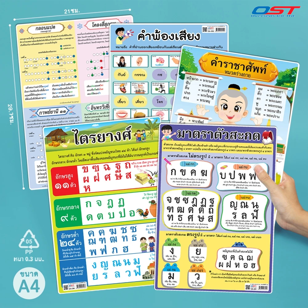 แผ่นความรู้พลาสติก ขนาด A4 (ไตรยางศ์ มาตราตัวสะกด คำราชาศัพท์ คำพ้องรูป-เสียง บทร้อยกรอง)หนา 0.3 มม.