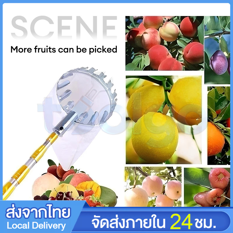 ตะกร้อสอยผลไม้ ด้ามสแตนเลส ไม้สอยยืดหดได้ 3-10 เมตร Fruit Picking Sleeve