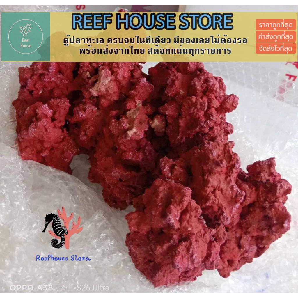 หินเทียม หินปะการังเทียมทำสี ตกแต่งตู้ปลาทะเล และปลาสวยงาม