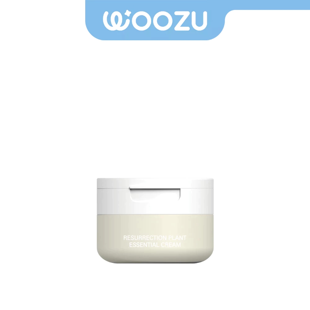 EWE Resurrection Plant Essential Cream 50g