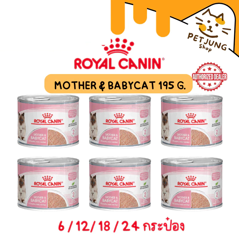 [6/12/18/24 กระป๋อง] Royal Canin อาหารแม่และลูกแมว ชนิดเปียก (MOTHER & BABYCAT MOUSSE) [EXP3/27 เป็น Lot ล่าสุด]