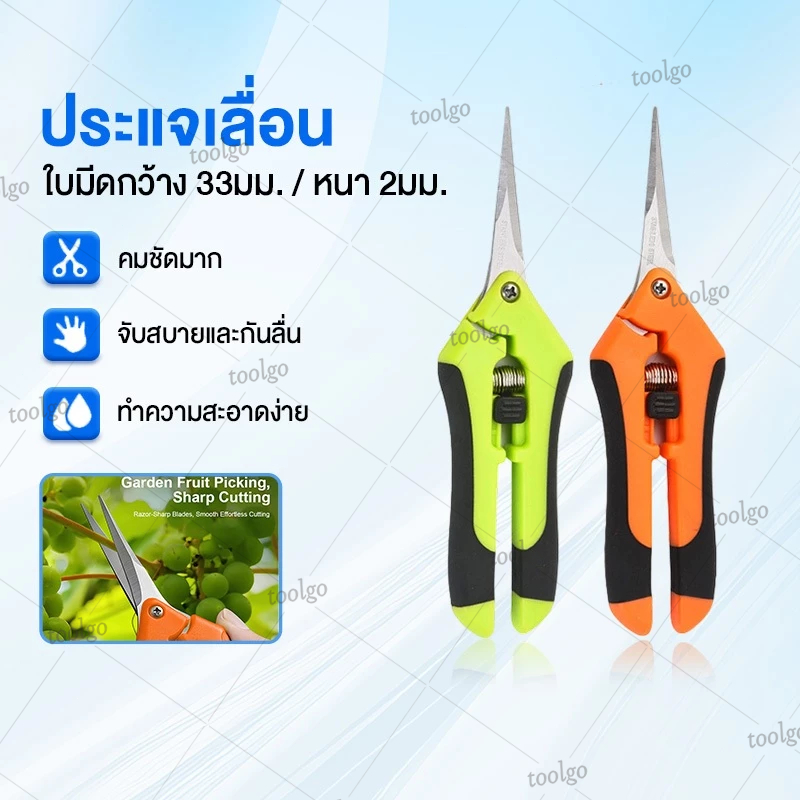 กรรไกรตัดกิ่ง สแตนเลสสาขาสวน อุปกรณ์ทำสวน ตัดต้นไม้ ตัดไม้เก็บผลไม้ กรรไกรวัชพืชกระถางดอกไม้