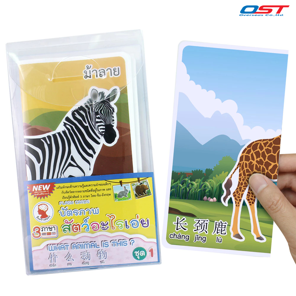 เกมทาย บัตรภาพ (Flashcards) 3 ภาษา ชุด สัตว์อะไรเอ่ย บัตรพลาสติก 24 ใบ/ ET-328