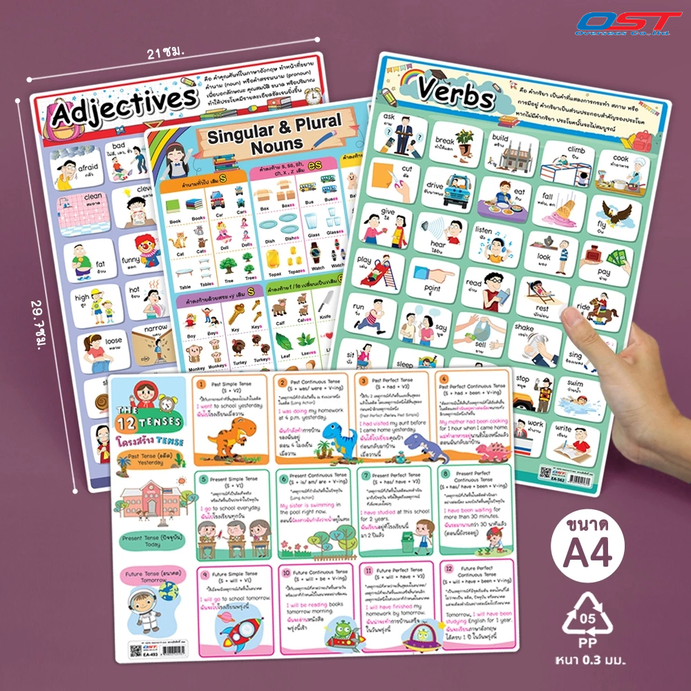 แผ่นความรู้พลาสติก ขนาด A4 ชุด ไวยากรณ์ภาษาอังกฤษ ( 12 Tenses, Verbs, Adjectives,Singular&Plural) หน