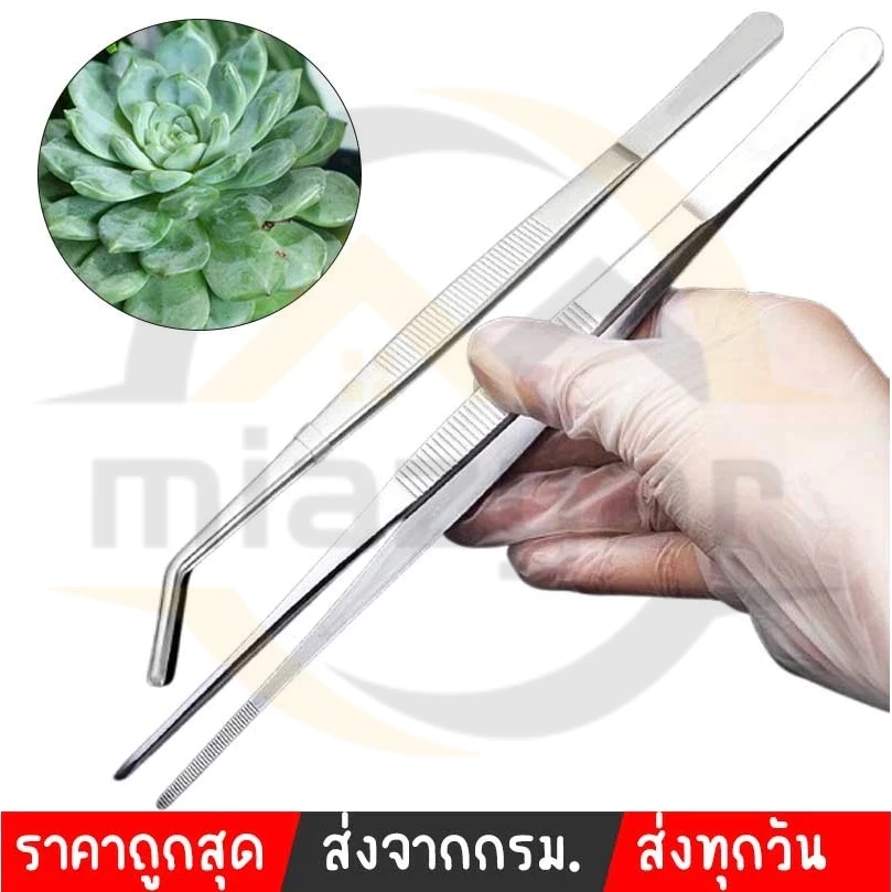 😍COD😍Long Forcep ปากคีบยาว ฟอเซปใหญ่ ฟอร์เซปยาว คีบกระถาง ด้ามตรง สแตนเลส ขนาดยาว 30 cm