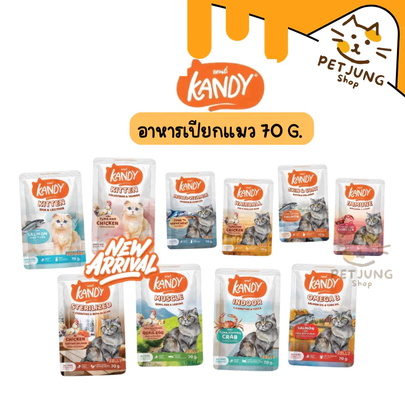 Kandy แคนดี้ อาหารเปียกแมว ไม่ใส่เกลือ ผลิตจากปลาเนื้อขาว ขนาด 70 กรัม