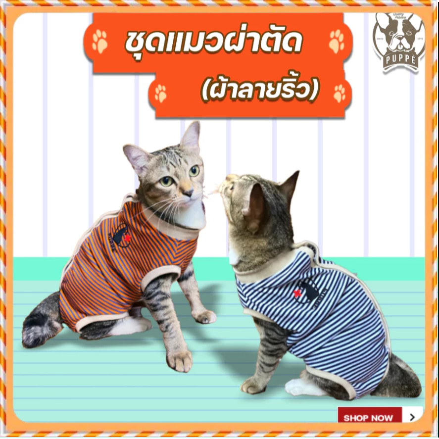 Puppé ปั๊ปปี้ ชุดแมวผ่าตัด สำหรับแมว เสื้อแมว (ผ้าลายริ้ว เสื้อสี่ขา แมวทำหมัน กันเลีย ชุดกันเลียแผล ) รหัส PEAC006