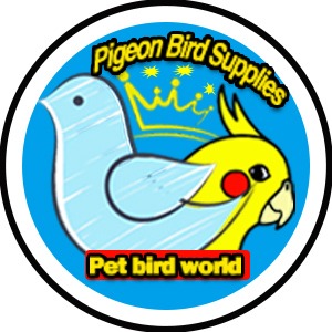 pet bird store