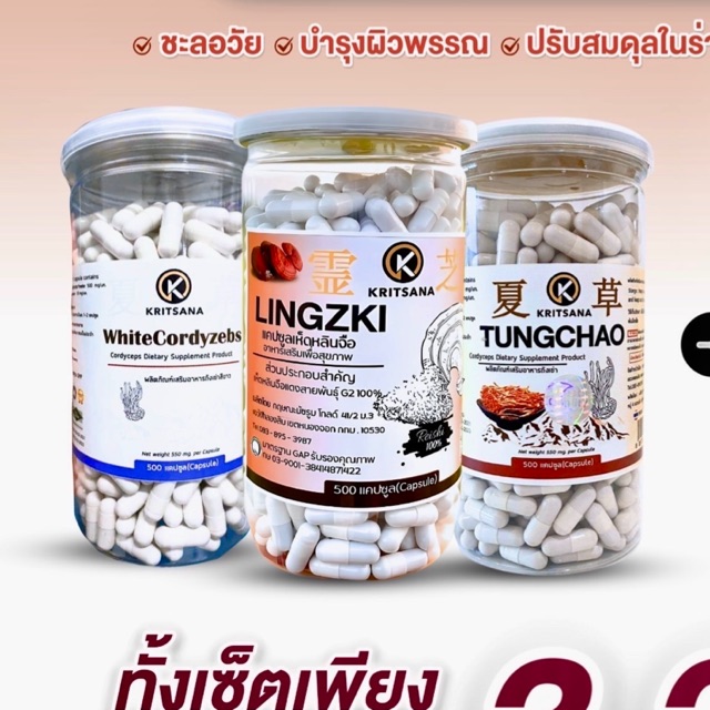 ถังเช่า หลินจือ กฤษณะฟาร์มเห็ด