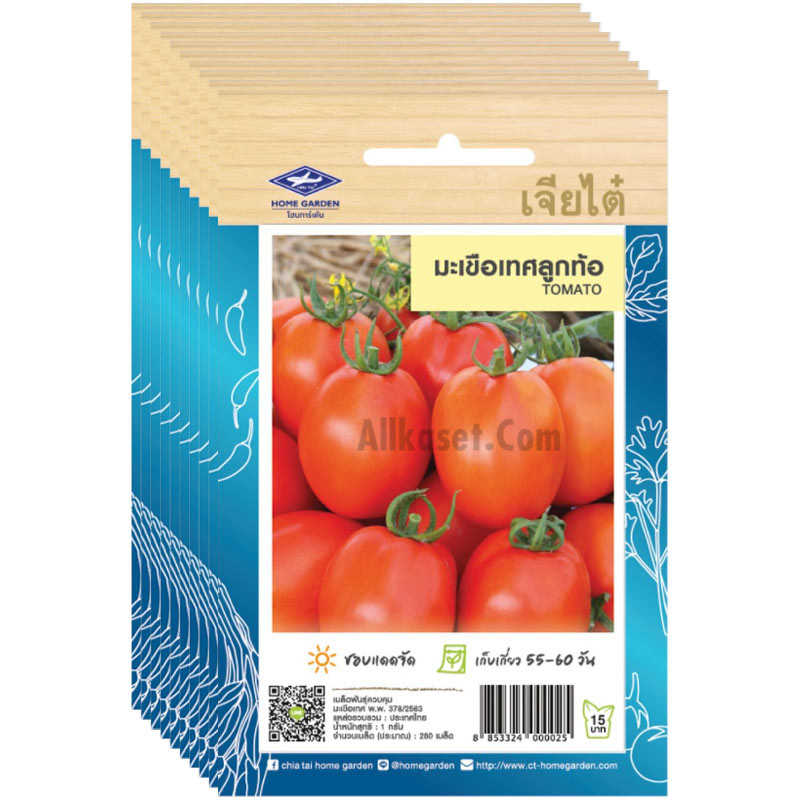 เมล็ดมะเขือเทศลูกท้อ เจียไต๋ ขายส่ง ยกห่อ (1 ห่อ บรรจุ 10 ซอง) ราคาส่ง