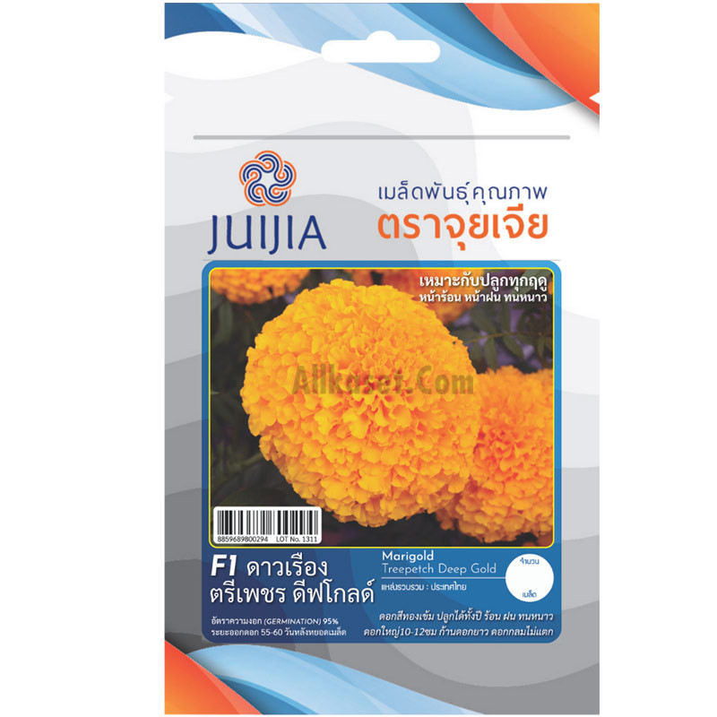 เมล็ดพันธุ์ ดาวเรือง ตรีเพชร ดีฟโกลด์ จุยเจีย