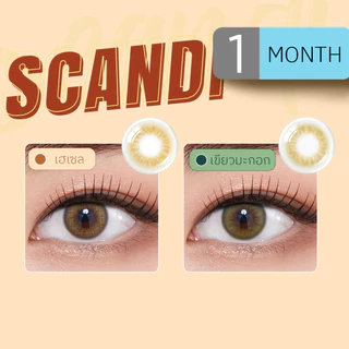 OLENS - Scandi (1Pair) 1 Month - โอเลนส์ รายเดือน 1 คู่