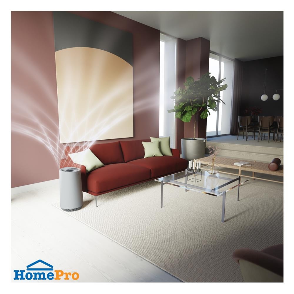 ELECTROLUX แผ่นกรองเครื่องฟอกอากาศ EFFCLN4 จัดส่งโดย HomePro - รูปที่ 2