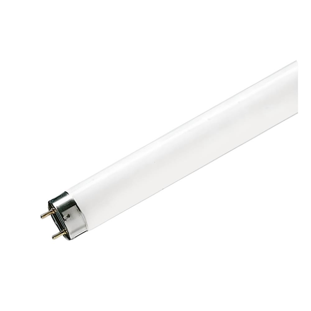PHILIPS หลอดนีออนยาว TLD 36/86 36 วัตต์ DAYLIGHT จัดส่งโดย HomePro