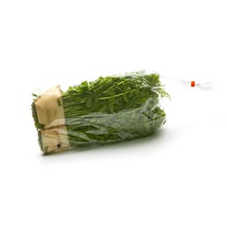 ส่งพรุ่งนี้ ผักกูด 200 กรัม/แพ็ค ออกใบกำกับภาษีได้