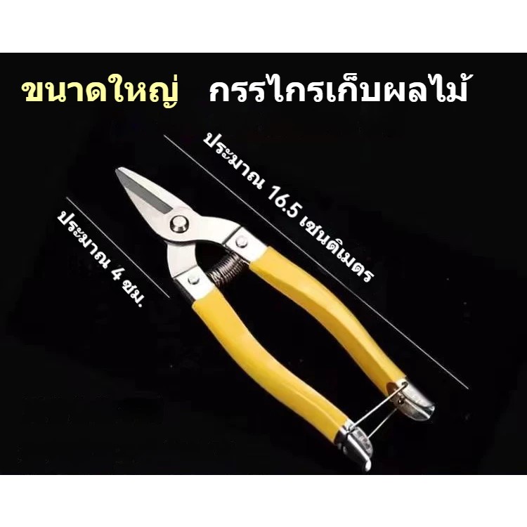 กรรไกรตัดกิ่ง 3Cr13 ใบมีดพิเศษคมมาก